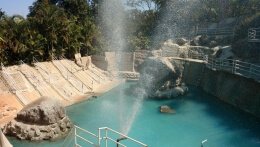 SHERBAUG THEME PARK